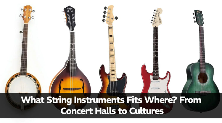 What String Instruments Fits Where? From Concert Halls to Cultures